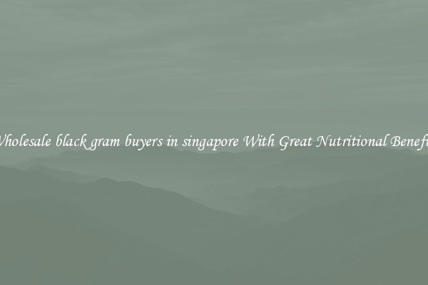 Wholesale black gram buyers in singapore With Great Nutritional Benefits