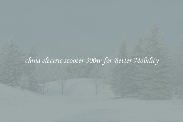 china electric scooter 300w for Better Mobility