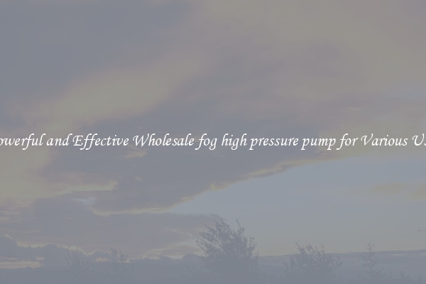 Powerful and Effective Wholesale fog high pressure pump for Various Uses