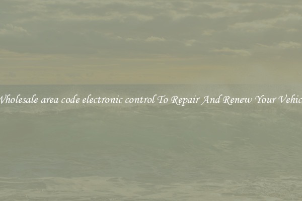 Wholesale area code electronic control To Repair And Renew Your Vehicle