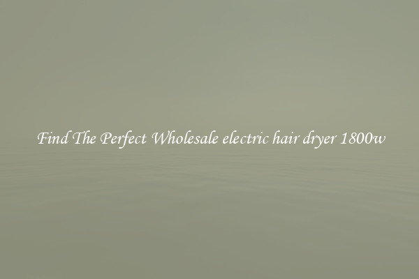 Find The Perfect Wholesale electric hair dryer 1800w