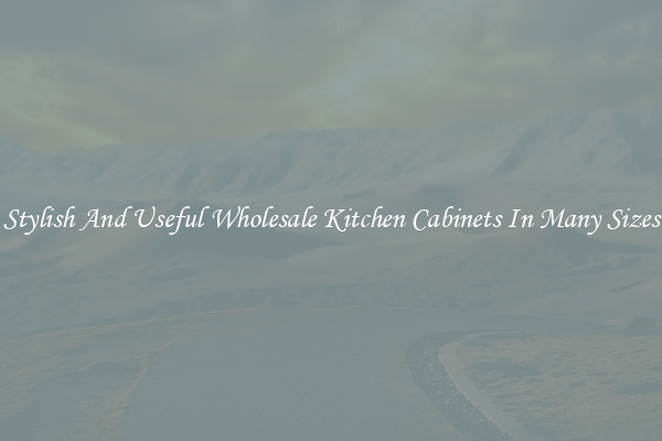 Stylish And Useful Wholesale Kitchen Cabinets In Many Sizes