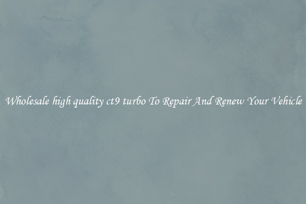 Wholesale high quality ct9 turbo To Repair And Renew Your Vehicle