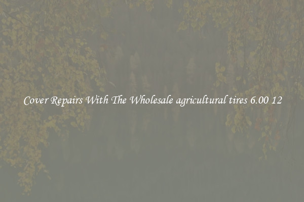  Cover Repairs With The Wholesale agricultural tires 6.00 12 