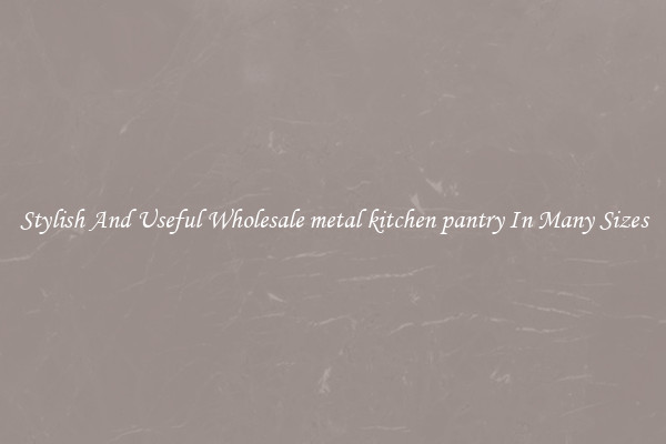 Stylish And Useful Wholesale metal kitchen pantry In Many Sizes