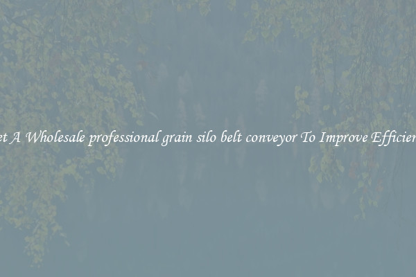 Get A Wholesale professional grain silo belt conveyor To Improve Efficiency