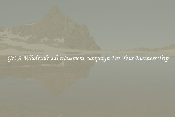 Get A Wholesale advertisement campaign For Your Business Trip