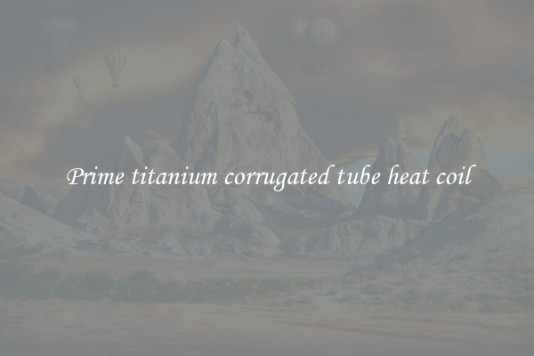 Prime titanium corrugated tube heat coil