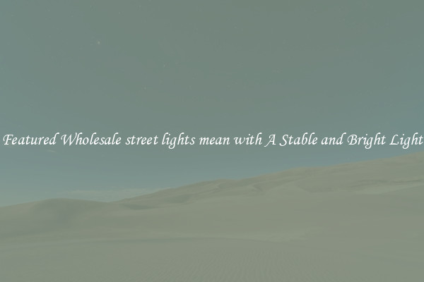 Featured Wholesale street lights mean with A Stable and Bright Light