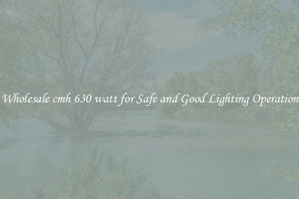 Wholesale cmh 630 watt for Safe and Good Lighting Operation