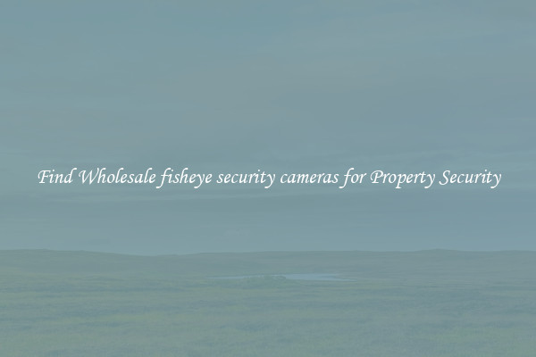 Find Wholesale fisheye security cameras for Property Security