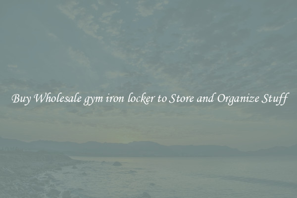 Buy Wholesale gym iron locker to Store and Organize Stuff