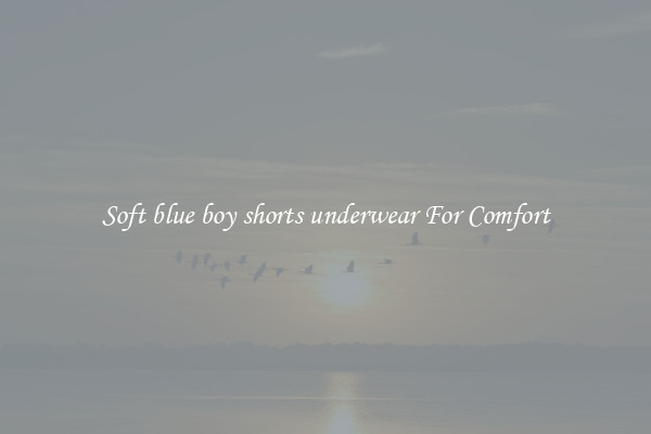 Soft blue boy shorts underwear For Comfort