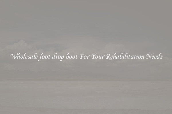 Wholesale foot drop boot For Your Rehabilitation Needs
