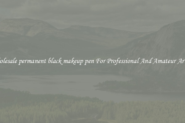 Wholesale permanent black makeup pen For Professional And Amateur Artists