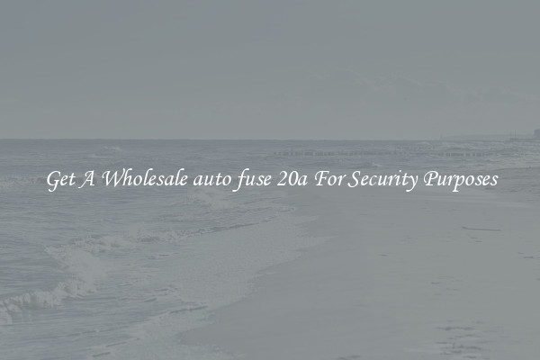 Get A Wholesale auto fuse 20a For Security Purposes