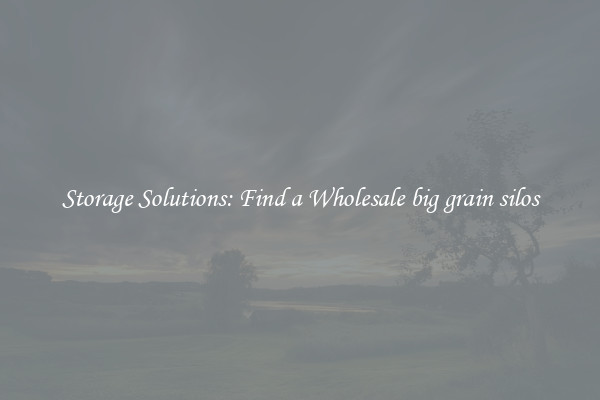 Storage Solutions: Find a Wholesale big grain silos