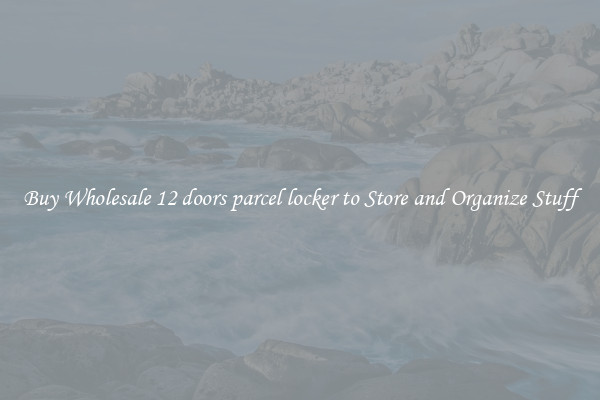 Buy Wholesale 12 doors parcel locker to Store and Organize Stuff